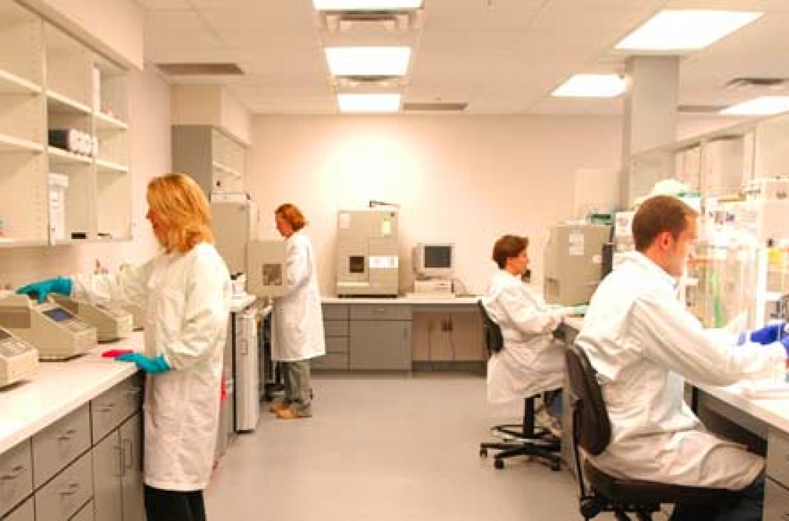 Apa & Keuntungan DNA Sexing Burung