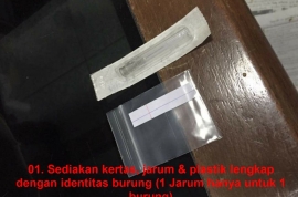 02. Peralatan yang digunakan